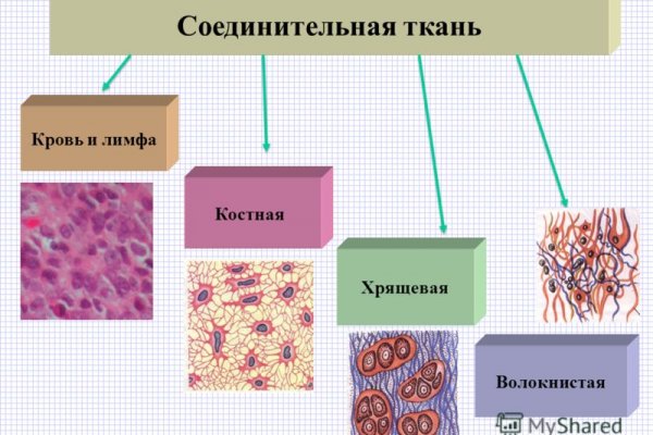 Актуальная ссылка на кракен