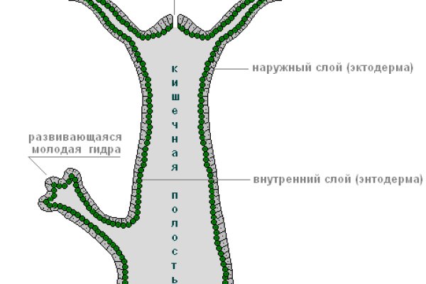 Кракен онион vk2 top